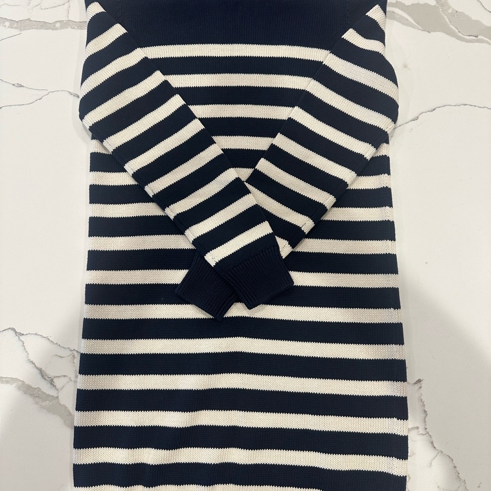 GAP Dark Blue & White Knit Sweater